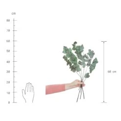 2x Trockenblumen Eukalyptus Länge 60cm FLOWER MARKET In Grün -Butlers Speichern butlers 2x trockenblumen eukalyptus lange 60cm flower market in grun 3