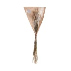 2x Trockenblumen Lagurusgras Länge 70cm FLOWER MARKET In Natur -Butlers Speichern butlers 2x trockenblumen lagurusgras lange 70cm flower market in natur 2