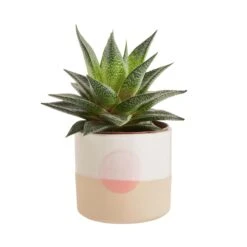 Blumentopf Ø11cm SUNSET In Beige-Pastellorange -Butlers Speichern butlers blumentopf o11cm sunset in beige pastellorange 1