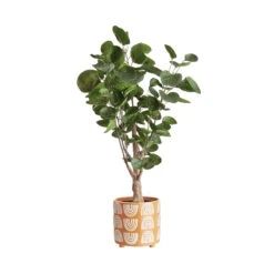 Blumentopf Ø14cm HAPPY RAINBOW In Gelb -Butlers Speichern butlers blumentopf o14cm happy rainbow in gelb 1