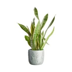 Blumentopf Ø14cm LEAVES In Salbei -Butlers Speichern butlers blumentopf o14cm leaves in salbei 2