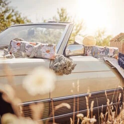 Picknickdecke L 175 X B 154cm BETWEEN FLOWERS In Creme -Butlers Speichern butlers picknickdecke l 175 x b 154cm between flowers in creme 11