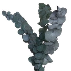 Trockenblumen Blumenstrauß FLOWER MARKET In Grün 10 Trockenblumen Blumenstrauß FLOWER MARKET In Grün -Butlers Speichern butlers trockenblumen blumenstrauss flower market in grun 2