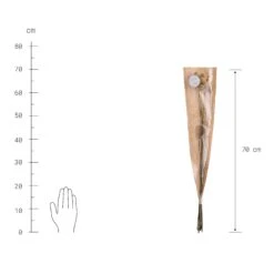 Trockenblumen Craspedia Länge 70cm FLOWER MARKET In Gelb -Butlers Speichern butlers trockenblumen craspedia lange 70cm flower market in gelb 2