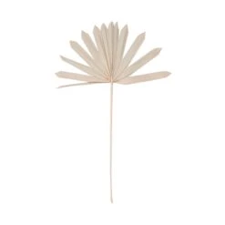 Trockenblumen Palmblatt Länge 60cm FLOWER MARKET In Natur -Butlers Speichern butlers trockenblumen palmblatt lange 60cm flower market in natur 2