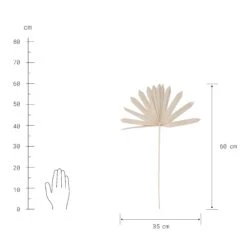 Trockenblumen Palmblatt Länge 60cm FLOWER MARKET In Natur -Butlers Speichern butlers trockenblumen palmblatt lange 60cm flower market in natur 3